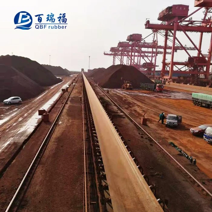 Acid Alkali Conveyor Belt