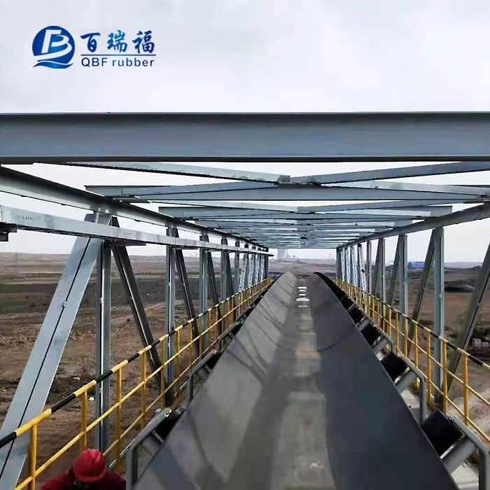 Cold Resistant Conveyor Belt